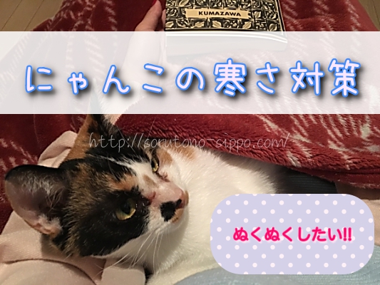 猫の寒さ対策 冬を快適に過ごすためのおすすめ暖房グッズを紹介 そるとのしっぽ